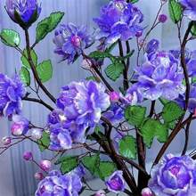 75 件 15 毫米透明绿色亚克力叶子吊坠叶珠带孔适用于耳环手链项链珠宝制作 DIY 工艺品绿色 - 綠色 - 查看 4