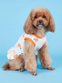 1pc Avocado Lemon Watermelon Banana Fruit Pattern With Leash Buckle Teddy Puppy Cat Dog Dress Clothing - Orange - View 3