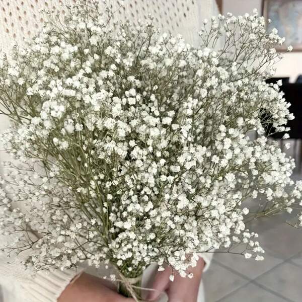1 ramo de flores de Flor de Nenúfar preservadas, independiente, sin electricidad ni plumas requeridas, adecuado para invitaciones de boda y decoración del hogar