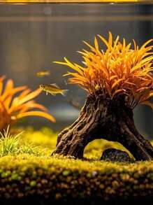 2件装水族箱沉木装饰，适用于鱼缸、龟缸、微景观、雨林/陆生缸造景 - 棕色 - 查看 10