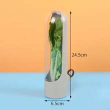 1pc Vanilla Fresh Keeping Box, Vegetable Storage Box, Bamboo Shoots Fresh Keeping Box - Multicolor - View 5