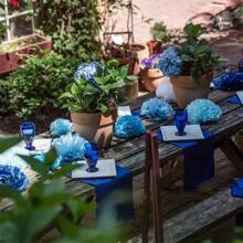 Tissue Paper Pom Poms - 24 Pieces Set - Assorted Sizes - Blue Party Decorations For Birthdays, Weddings, Special Occasions (Blue Navy Assortment)