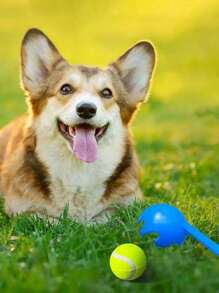 1 Pc Dog Ball Launcher Set(Ball-Throwing Stick),Pet Supplies Durable Plastic Fetch Stick, Interactive Toy For Dog Training And Exercise Dog Toy Set, Comfort Grip Suitable For Outdoor Use Fun With Dogs Easy To Pick Up And Throw For Pet Training & Fun!