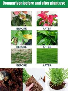 1pc Seedling Block,Organic Plants Coco Coir Brick,Coconut Coir Bricks Premium 100% Organic Peat Moss Mix,Vegetable Soil Bed,Planting Media,Fiber Coconut Husk For Planting, Gardening, Potting Soil Substrate,Seeds,Garden,Flowers,Vegetables,Worm Bedding Composting,Coconut Fibre