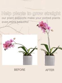 植物桩，植物棒 20 根丙烯酸透明植物支撑桩，35 厘米花园单茎兰花桩，适用于室内外植物、兰花、盆栽植物、西红柿、花卉（带 20 个夹子）