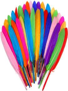 20 piezas Plumas de pato de 10-15 cm (4-6 pulgadas) Accesorios de manualidades Decoración DIY Tiempo libre creativo Atrapasueños Carnaval Fiesta Pendientes Plumas para boda