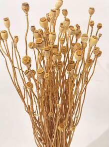 10/20pcs White & Brown Dried Plants, Dried Flowers, Abstract Floral Bouquet Decor, Vase Decor, Wedding Decoration, DIY