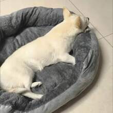 Soft Warm Dog Bed Pets Basket Cat House Sofa For Medium Large Dog Sofa Bed Cushion Dog Bed House Pet Supplies Accessories