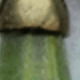 Nhiều màu