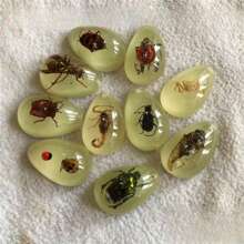 1pc/3pcs/5pcs Resin Insect Pendant Accessories, Party Themed Items, Keychain Insect Style Pendant Accessories, Necklace Pendant Charms (Randomly Shipped)