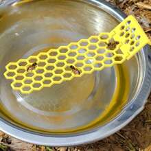 Floating Bee Ladder: Bees, Insects, Drinking Water, Bees, Ladders, Insects, Floating Bees, Ladders, Home And Garden Supplies