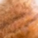 Wood Color