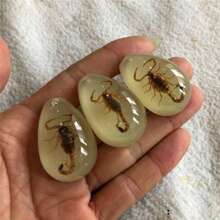1pc/3pcs/5pcs Resin Insect Pendant Accessories, Party Themed Items, Keychain Insect Style Pendant Accessories, Necklace Pendant Charms (Randomly Shipped)
