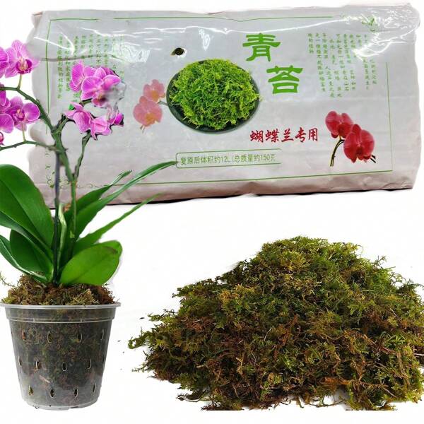 Dried Forest Moss For Plants (5 Qt / 1 Pack), Sphagnum Potting Moss For Various Plants, Including Orchids, Carnivorous Plants, Succulents, Garden Flowers, And Reptiles