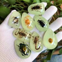 1pc/3pcs/5pcs Resin Insect Pendant Accessories, Party Themed Items, Keychain Insect Style Pendant Accessories, Necklace Pendant Charms (Randomly Shipped)