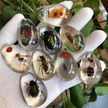 1pc/3pcs/5pcs Resin Insect Pendant Accessories, Party Themed Items, Keychain Insect Style Pendant Accessories, Necklace Pendant Charms (Randomly Shipped)