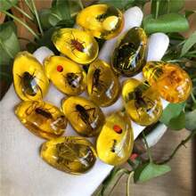 1pc/3pcs/5pcs Resin Insect Pendant Accessories, Party Themed Items, Keychain Insect Style Pendant Accessories, Necklace Pendant Charms (Randomly Shipped)