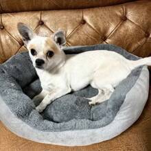 Soft Warm Dog Bed Pets Basket Cat House Sofa For Medium Large Dog Sofa Bed Cushion Dog Bed House Pet Supplies Accessories