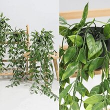 1株人造垂吊多肉植物，小盆栽，适合DIY花墙、场景装饰、客厅/卧室花瓶摆设、婚礼、派对、家居装饰、桌面摆件。秋冬季落叶，家居装饰、桌面装饰、农舍风格装饰，抗紫外线人造花，适用于悬挂花园、门廊、窗台、户外装饰，生日/毕业礼物。 - 風格4 - 查看 6