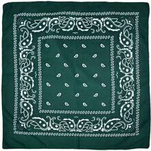 1 chiếc khăn đa năng bằng polyester họa tiết Paisley, hoa điều, thích hợp cho hoạt động ngoài trời, thể thao, giữ ấm cổ, đội đầu (in đường kẻ đen ngẫu nhiên hoặc không in), băng đô turban, băng thấm mồ hôi, phụ kiện tóc mùa thu đông cho nữ, thích hợp cho trang phục đi nghỉ mát, khăn choàng thanh lịch cho nữ, trang phục mùa hè, lễ hội, tiệc tùng. - Nhiều màu - Xem 13