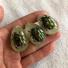 1pc/3pcs/5pcs Resin Insect Pendant Accessories, Party Themed Items, Keychain Insect Style Pendant Accessories, Necklace Pendant Charms (Randomly Shipped)