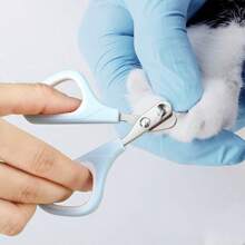 2 cores Cat/Dog Lover Presente e Dog/Cat Mom Love Pet Grooming Tool Set - Cortador de unhas de aço inoxidável, lixa de unha, Cat/Dog Lover Presente e Dog/Cat Mom Love Pet Mini escova de cerdas, ferramentas de remoção de pelos para Dog Lover e Dog Mom Loves & Cat Lover e Cat Mom Loves, adequado para filhotes, ursinhos de pelúcia e outros Cat/Dog Lover Presente e Dog/Cat Mom Love Pets