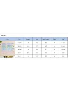 Toddler Girl Clothes 6M 12M 18M 24M 3T 4T Baby Girls Outfits Summer Floral Checkerboard Print Shirt+Shorts+Headband 3pcs Baby Clothing - Blue - View 7