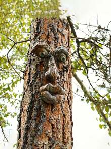 1pc Tree Face Tree Monster Pendant Resin Old Man Five Senses Gardening Decorative Ornament Patio Wall Statue Outdoor Garden Mischief Decorative Hanging Decoration Can Be Used In The Yard Garden Tree Mischief Decorative Crafts (Handmade Products, Halo Position And Shade Will Be Slightly Different From The Picture)