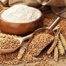 Juego de 1/3 piezas de cucharones de acero inoxidable gruesos, pala metálica multiusos para cubitos de hielo, helados, comida para mascotas, granos, harina, alimentos, té, palomitas, hielo, azúcar, frijoles, arroz - Diseño resistente, adecuado para uso doméstico en verano, restaurantes, bares y dispensador de bloques de hielo para camping al aire libre, regalo para el padre