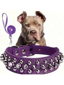 铆钉狗项圈和牵引绳套装，可调节铆钉皮革狗项圈，适合户外散步