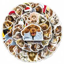 50张可爱腊肠犬卡通动物涂鸦贴纸，可用于装饰花瓶、相册、墙壁等。 - 彩色 - 查看 3