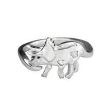 Personalisierter dicker Ring, Dinosaurier-Ring, modernes zierliches Jahrestags-Geschenk