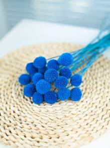 10/20pcs Craspedia Dried Flowers,Yellow Globe Thistle, Approx. 1-1/2 Inch Diameter, For Home Decor, Photo Props, DIY Wedding Decoration Gifts Birthday Graduation