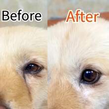 宠物温和泪液去除霜，天然眼部护理霜，清洁和保护狗和猫，前后效果显示眼睛更清洁更健康，狗泪液去除剂 - 黑色 - 查看 4