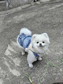 Spring/Autumn Pet Dog Denim Clothes, 2-Leg Outfit For Poodle, Teddy & Small Dogs, Cute Vest T-Shirts For Outdoor Wear
