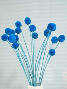 10/20pcs Craspedia Dried Flowers,Yellow Globe Thistle, Approx. 1-1/2 Inch Diameter, For Home Decor, Photo Props, DIY Wedding Decoration Gifts Birthday Graduation