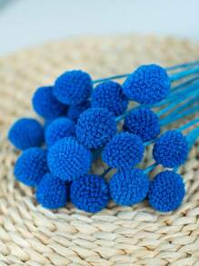 10/20pcs Craspedia Dried Flowers,Yellow Globe Thistle, Approx. 1-1/2 Inch Diameter, For Home Decor, Photo Props, DIY Wedding Decoration Gifts Birthday Graduation