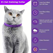 1pc Calming Collars For Cats, Adjustable Silicone Pheromone Diffuser Neckbands, Clinically Proven To Reduce Stress & Anxiety, Waterproof Design, With 60 Days Wear For All Cat Sizes,Cat Calming Collar For Anxiety, Efficient Relieve Anxiety Stress