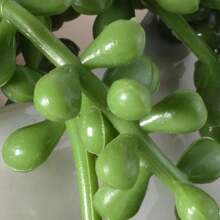 4pcs Artificial Green Garland For Home Decor