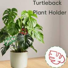 玳瑁竹支撑杆，防倾倒花茎架，园林植物花盆支架，水培 - 彩色 - 查看 7