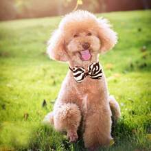 10pcs Assorted Pet Stylish Bowties, Classic High-End Design, Cute Camellia & Leopard Print Dog Bowties