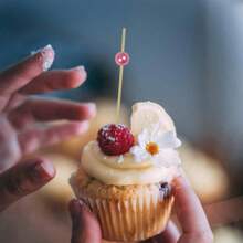 200/100/50/10 piezas Pinchos de fruta de bambú (Múltiples tamaños disponibles) Brochetas mini de 9cm para aperitivos, frutas y postres, adecuadas para picnics al aire libre, fiestas, cumpleaños