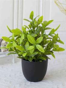 1pc Black Flowerpot Simulation Plants With Small Artificial Plants, Including Indoor Home Decoration, Office, Bathroom And Bedroom Flowerpots, With Plastic Eucalyptus And Miniature Wheat Grass Plants, Which Are Very Suitable For Indoor Desk Artificial Plant Decoration, Valentine's Day And Gifts Birthday Graduation