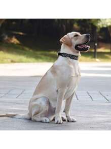 铆钉狗项圈和牵引绳套装，可调节铆钉皮革狗项圈，适合户外散步