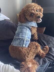 Spring/Autumn Pet Dog Denim Clothes, 2-Leg Outfit For Poodle, Teddy & Small Dogs, Cute Vest T-Shirts For Outdoor Wear