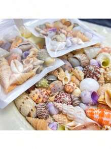 Bolsa de 50g, 100g de arena de conchas y caracoles marinos de colores - Artesanía de conchas y caracoles marinos, paisaje de acuario, decoración del hogar con estilo natural oceánico, material DIY para joyería y perlas de conchas