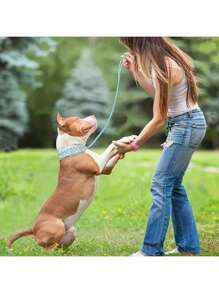 铆钉狗项圈和牵引绳套装，可调节铆钉皮革狗项圈，适合户外散步