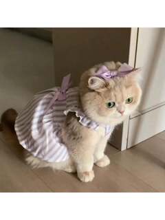 مستلزمات الحيوانات الأليفة 