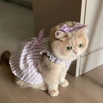 Cat Print Princess Style Ombre Fur Mesh Summer Dress For Small Dogs & Cats, Lightweight