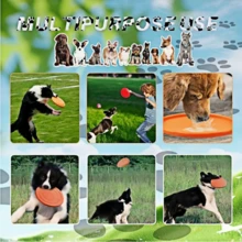 1pc/3pcs/6pcs Cat/Dog Lover Gift And Dog/Cat Mom Love Pet Dog Lover And Dog Mom Love Flying Disc, Cat/Dog Lover Gift And Dog/Cat Mom Love Pet Interactive Training Floating Water Resistant Soft For Cat/Dog Lover Gift And Dog/Cat Mom Love Pet, Enhance Cat/Dog Lover Gift And Dog/Cat Mom Love Pet Agility & Biting Strength, Best Companion For Cat/Dog Lover Gift And Dog/Cat Mom Love Pet Owner And Dog Lover And Dog Mom Love